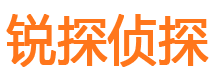 贵池市侦探调查公司